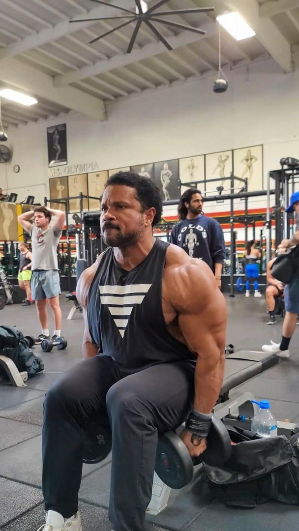 3D DELTS 101- COMMERCIAL GYM