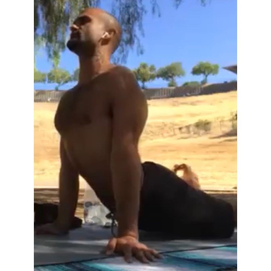 2 Perfect Posture Up Dog