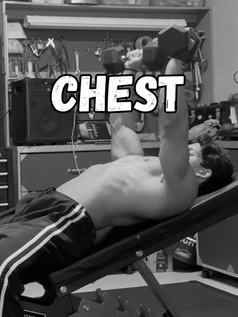 Chest
