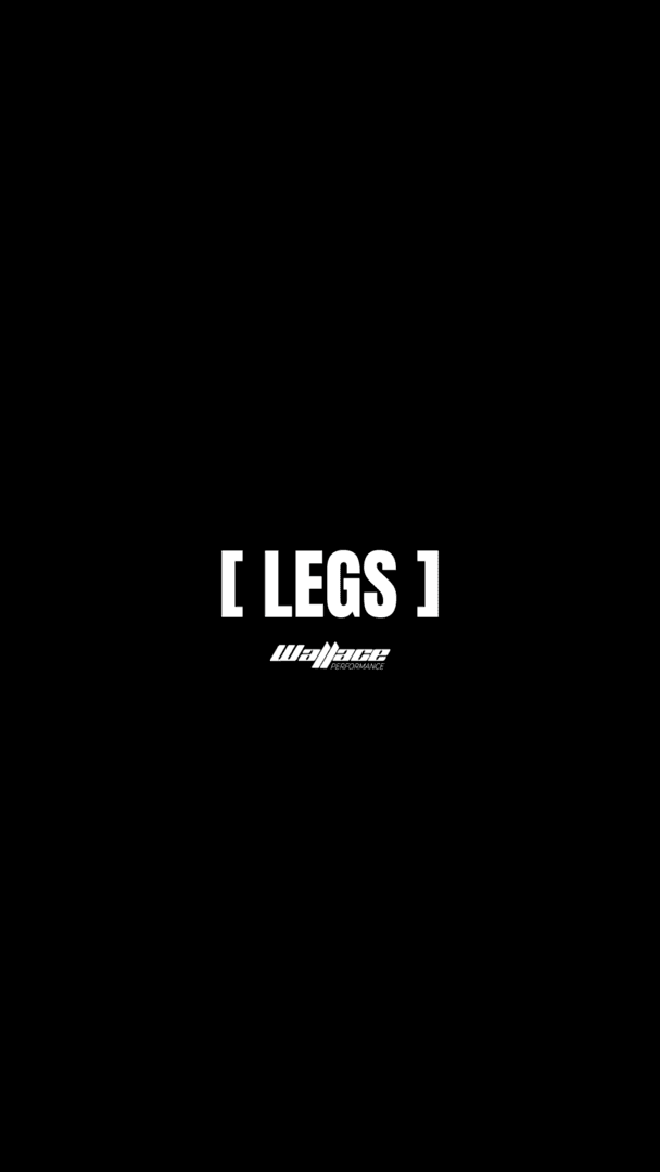 LEGS