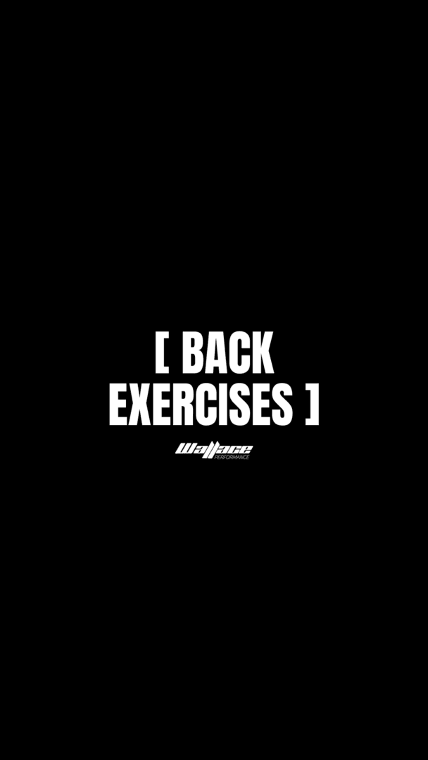 Back Exercises