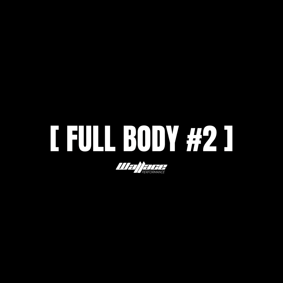 Full Body #2