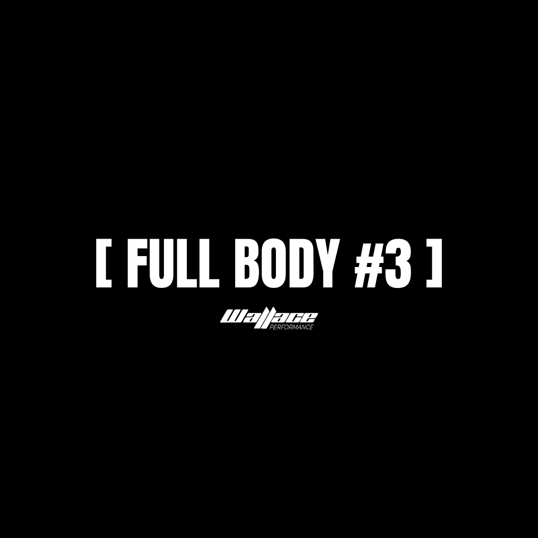 Full Body #3