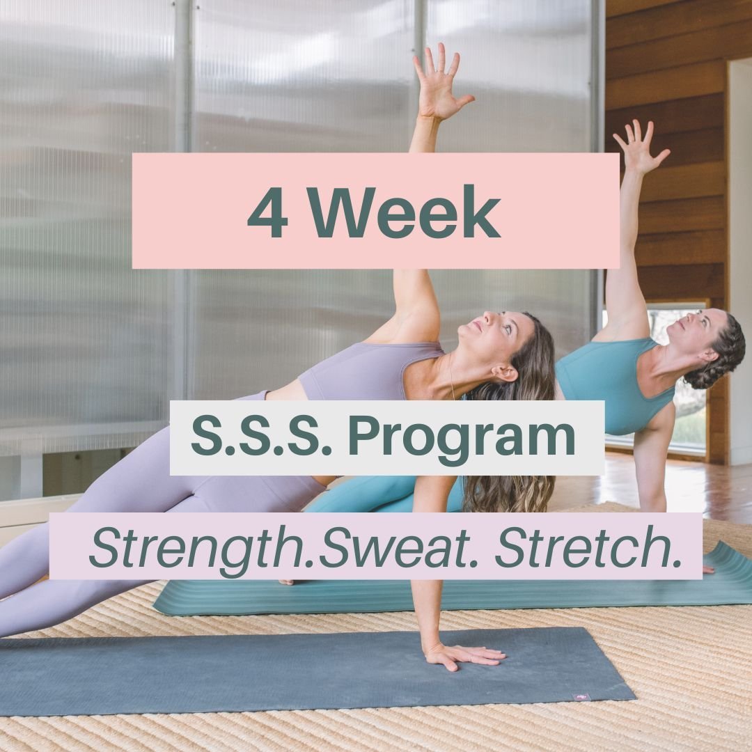 program card