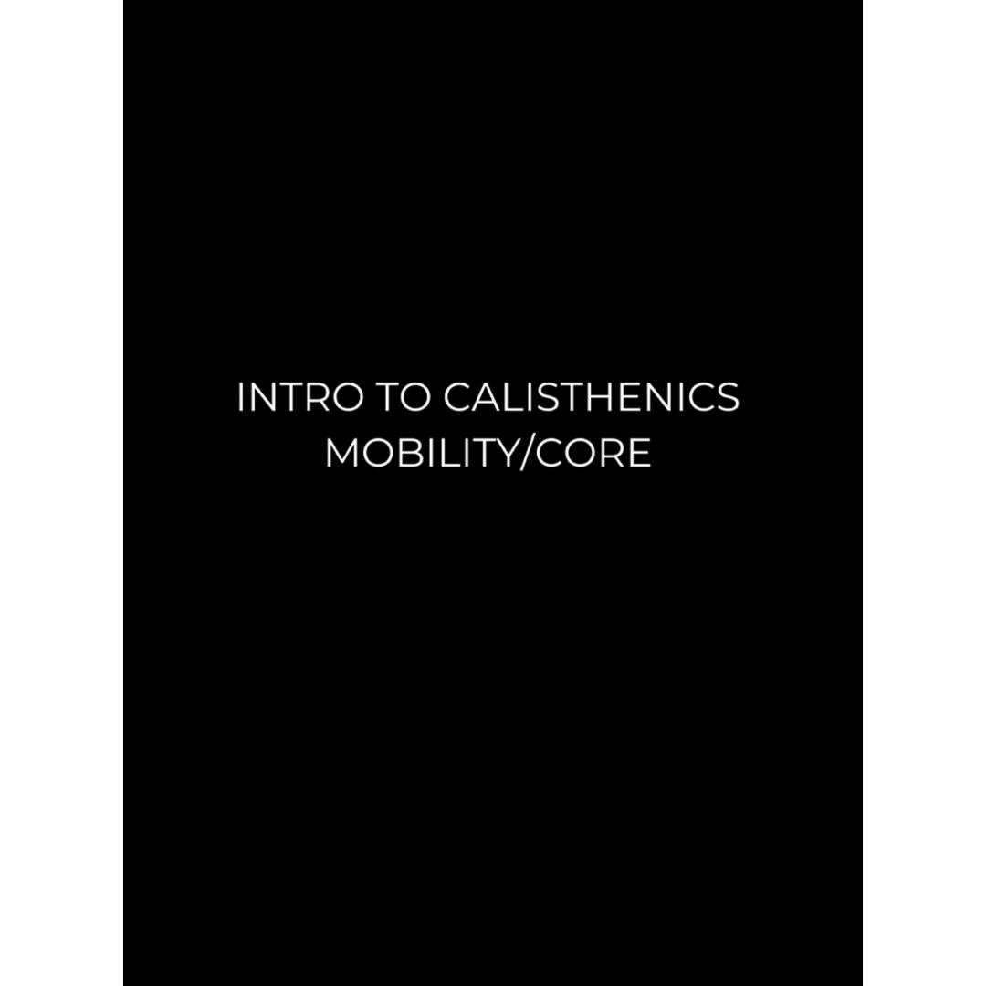 Day 2: Mobility/Core