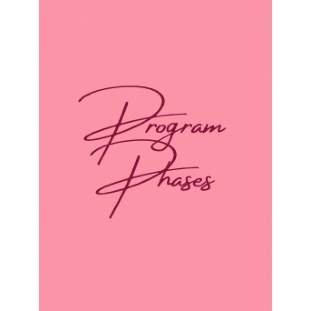 Program phases breakfown
