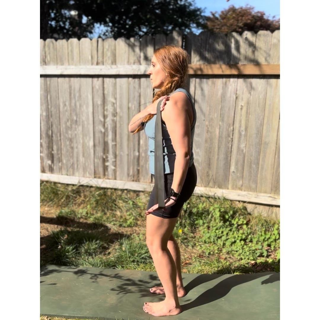 Back and Tricep Workout