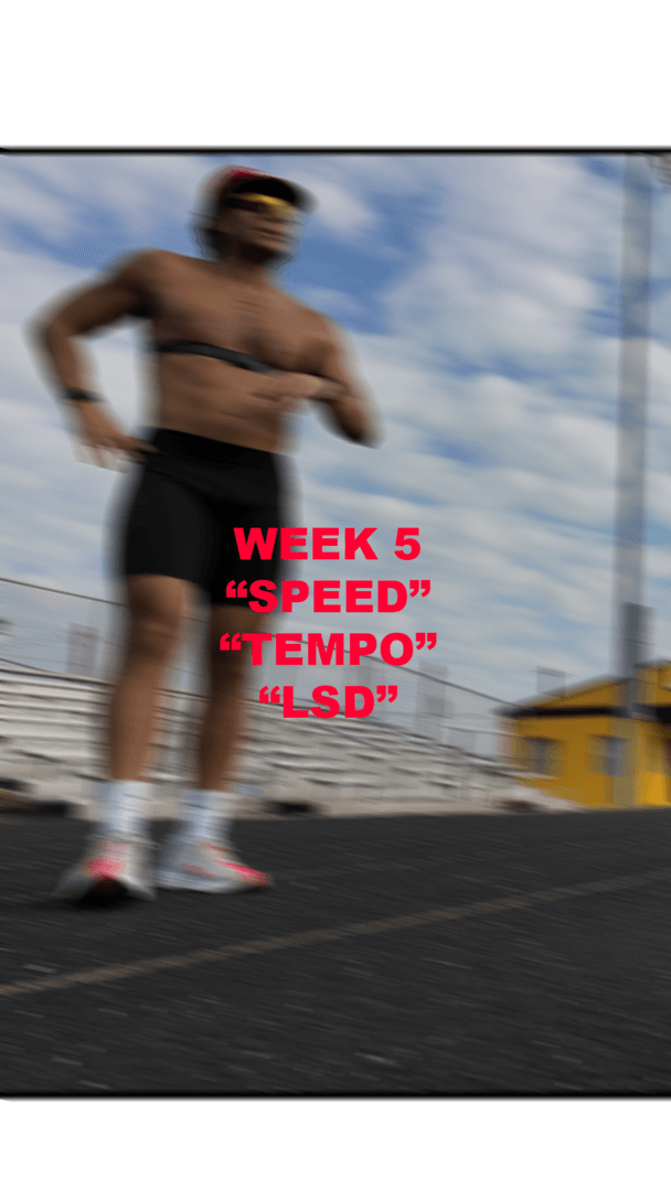 Week 5 