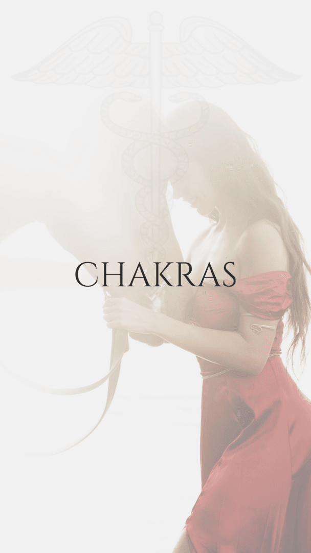 ⚕️ Yin | chakras