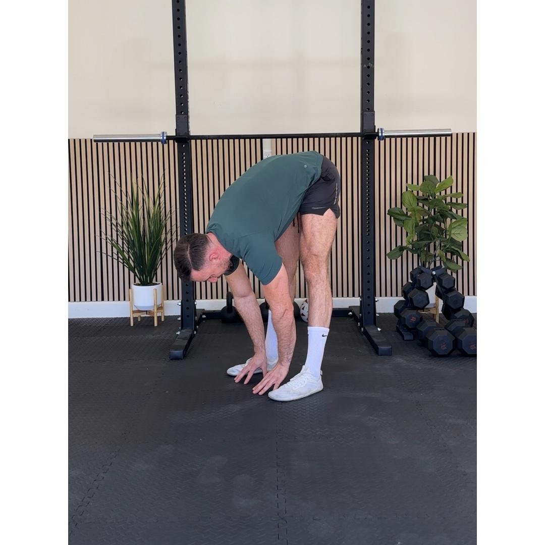 Low intensity cardio + Recovery circuit