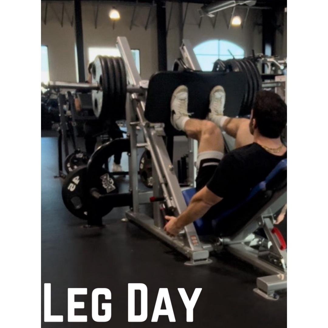 Legs