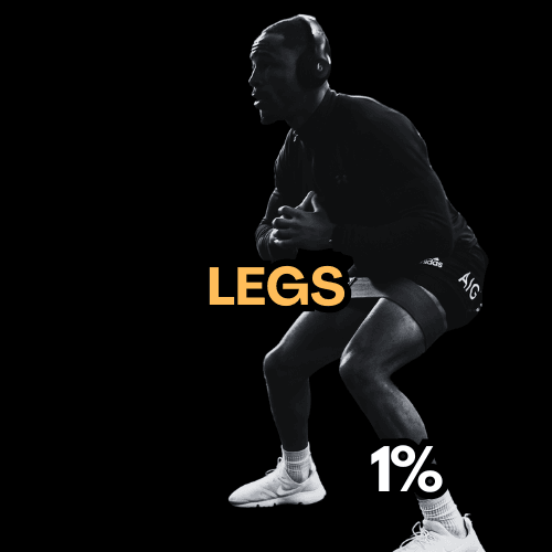 1.3 Legs