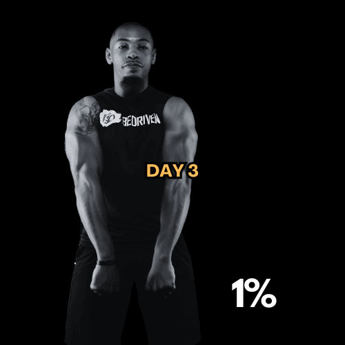 Day 3