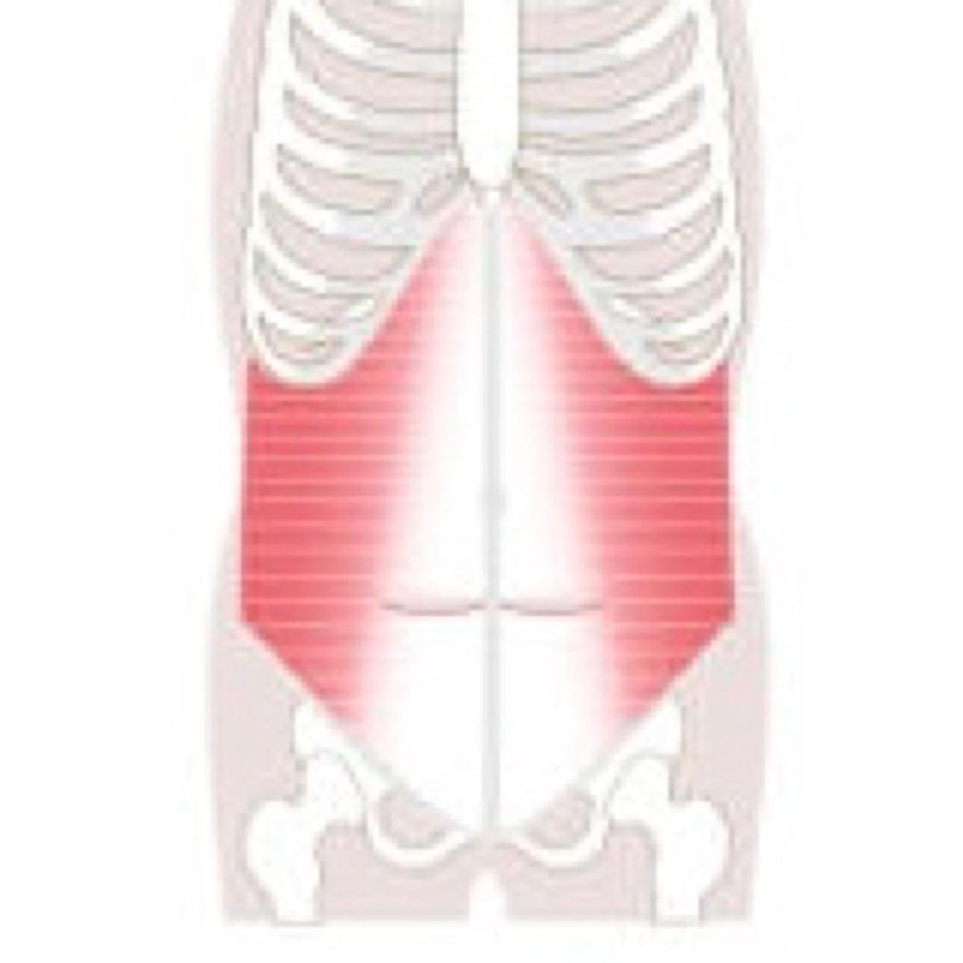 Day 1: Transverse Abdominus (TVA)