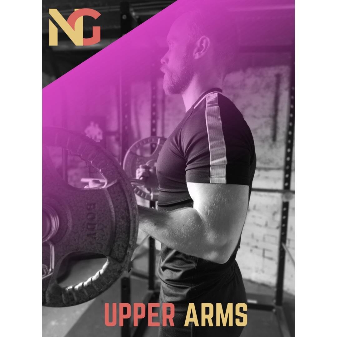 Shoulders, biceps and triceps