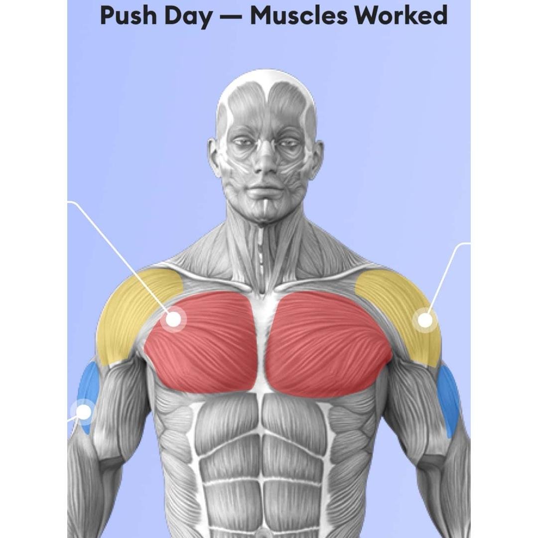 Monday- Push Day- Chest Focused