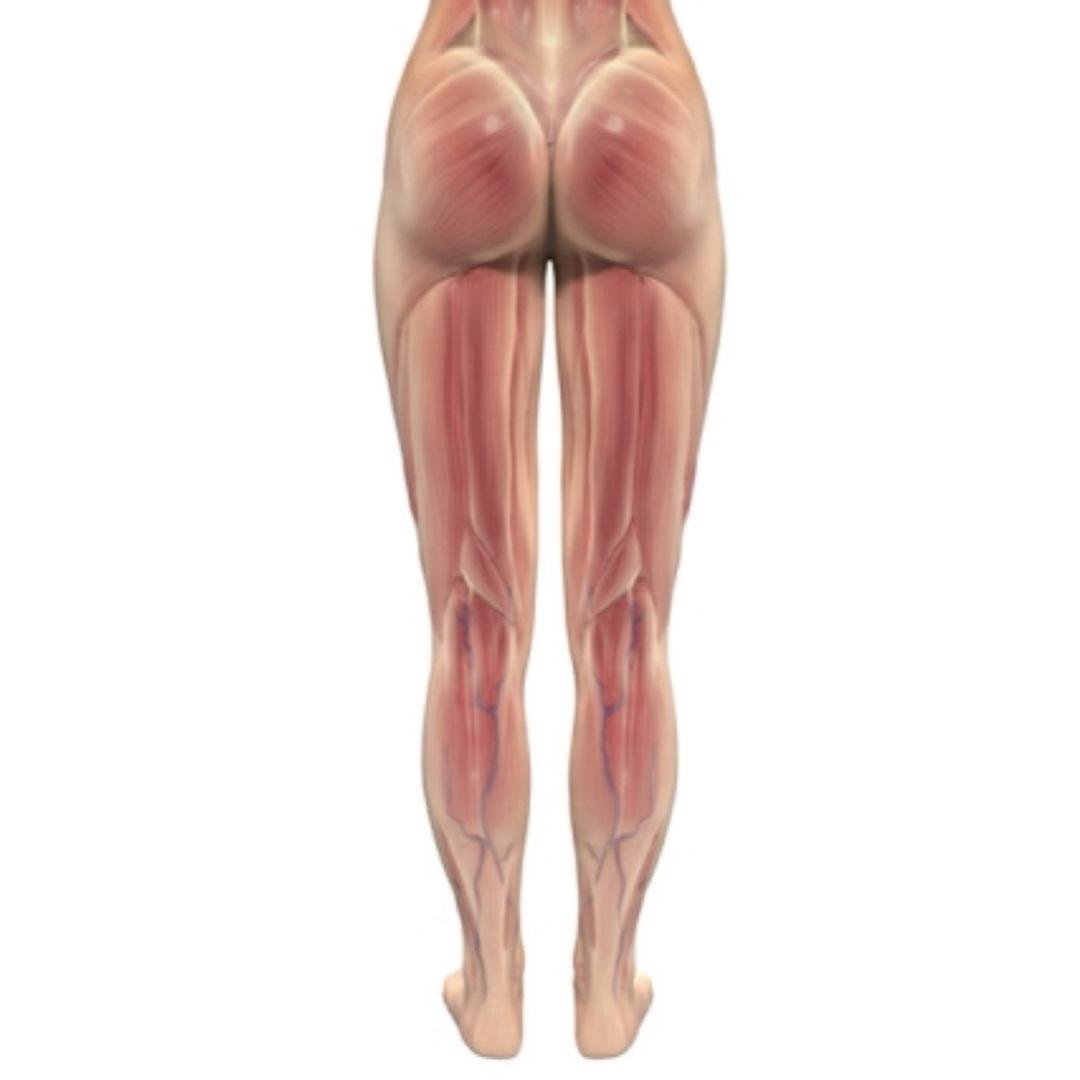 Wednesday- Legs