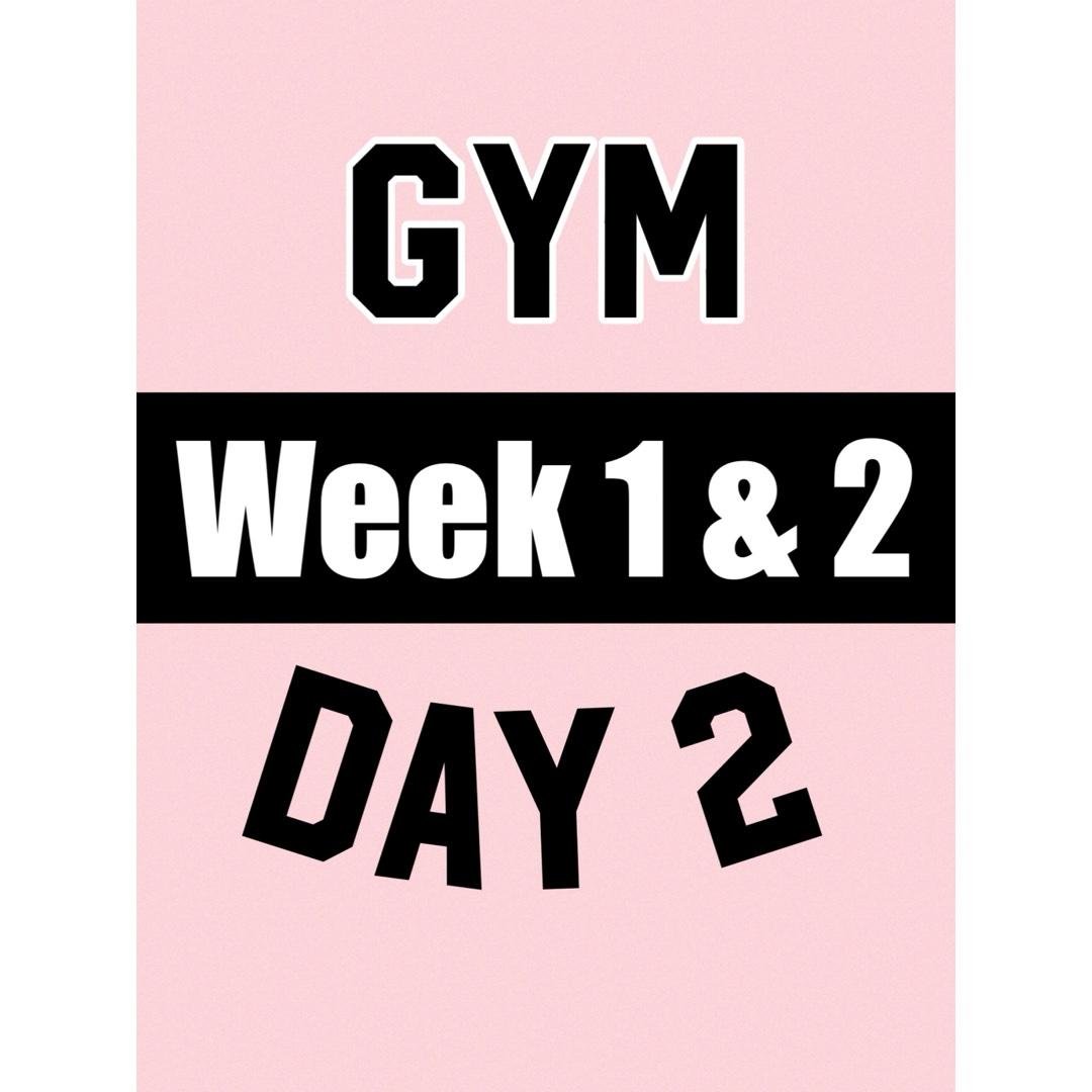 GYM Day 2