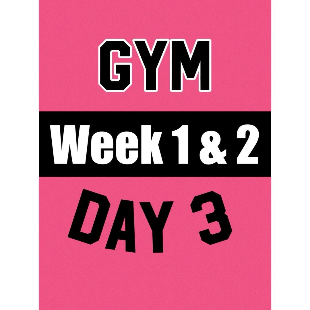 GYM Day 3 Cardio & Core