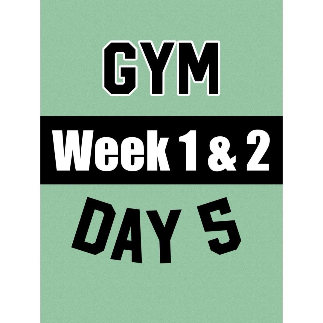 GYM Day 5