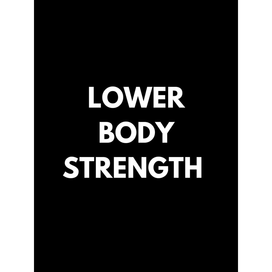 lower body strength - gym