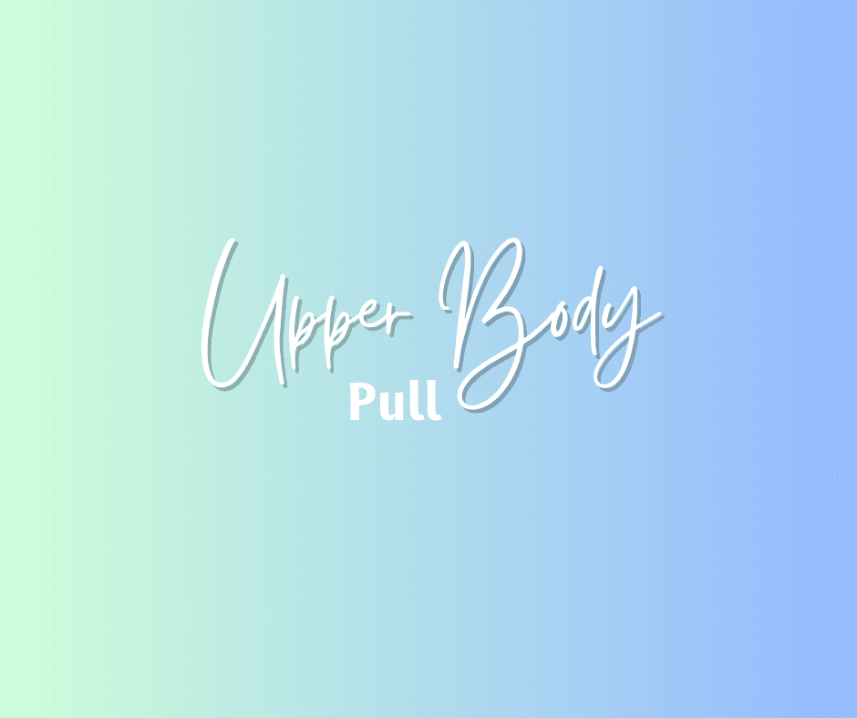 Upper body ( Pull)