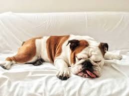 Sunday Rest Day