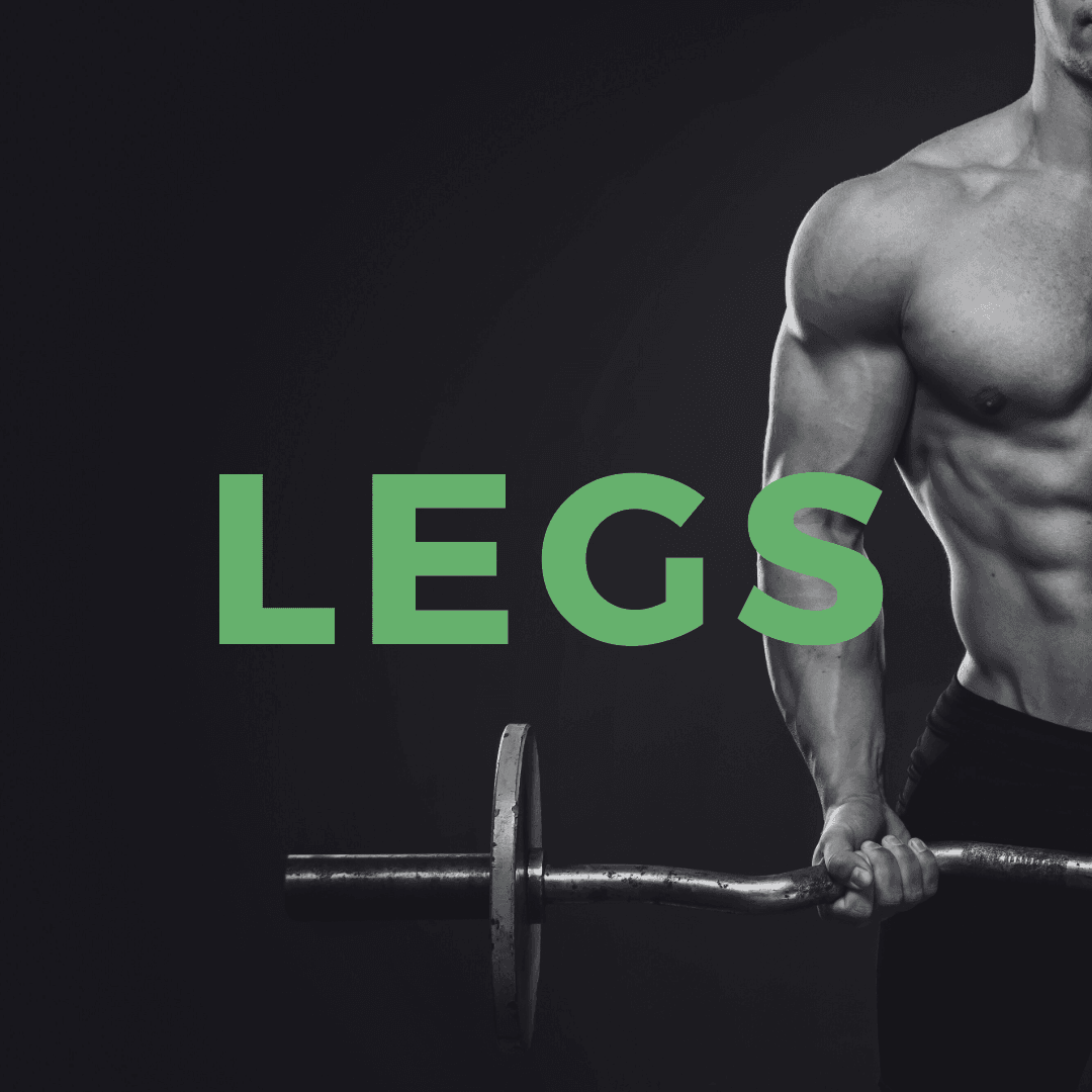 Legs 2