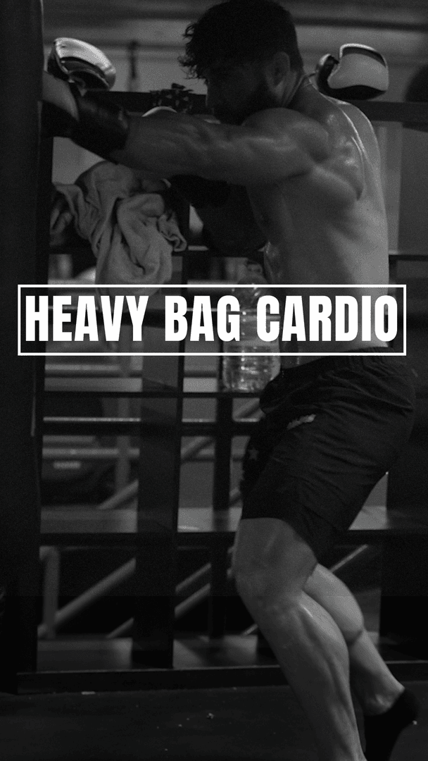 Heavy Bag/Shadow Boxing