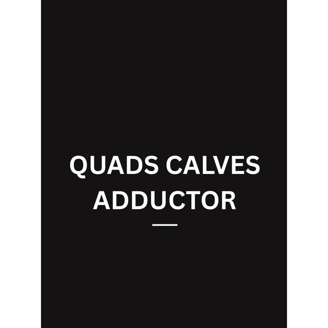 QUADS CALVES ADDUCTOR