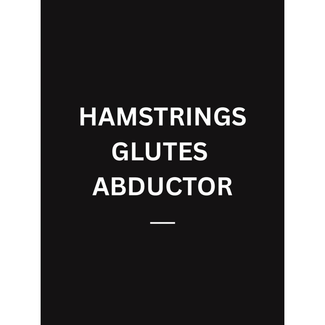HAMSTRINGS GLUTES ABDUCTOR
