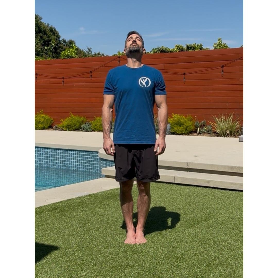 Vestibular/Balance Test Level 2