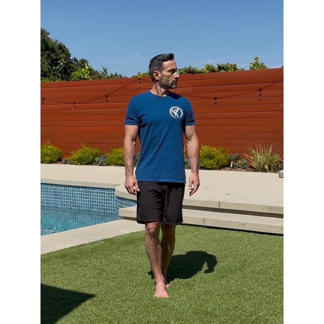 Vestibular/Balance Test Level 3