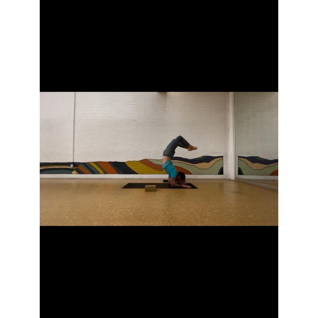 LLL - class 5 courage