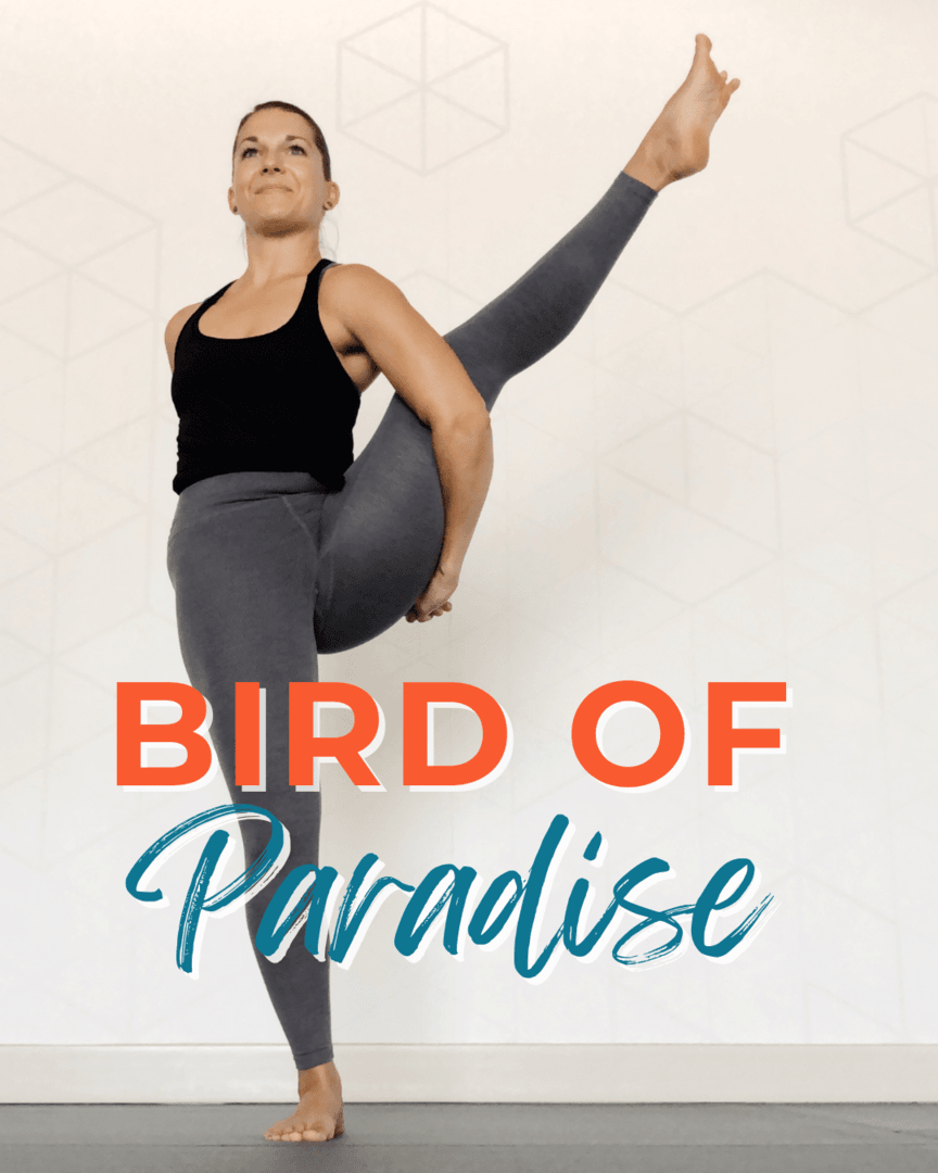 Bird of Paradise
