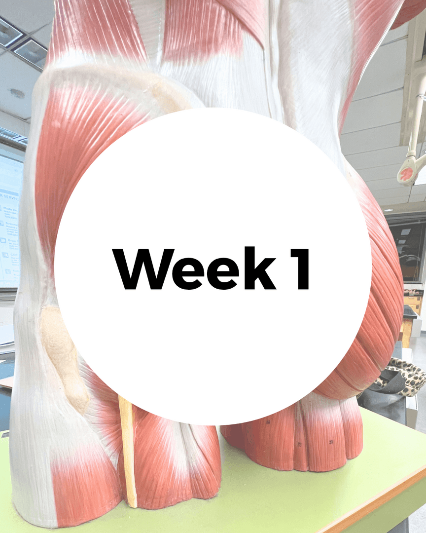 Week One: Hip Band