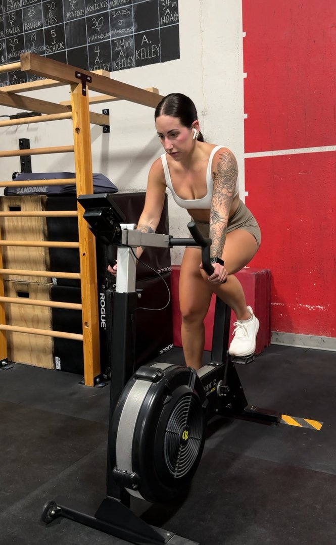 WOD 3