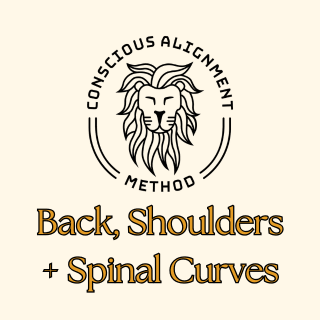 D2 W1:  Back + Shoulders + Spinal Curves