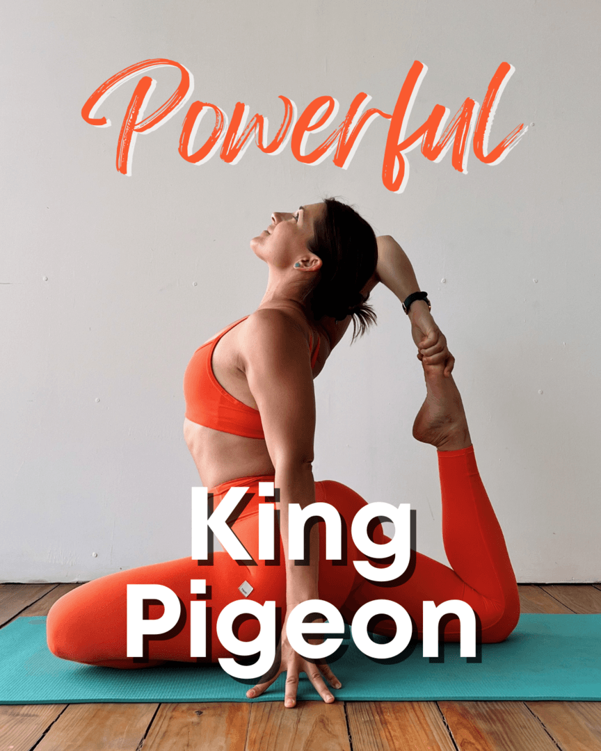 Powerful King Pigeon