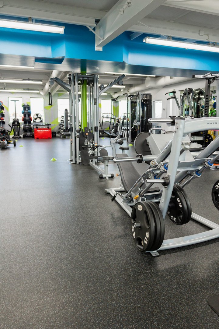 Legs / Shoulders / Core