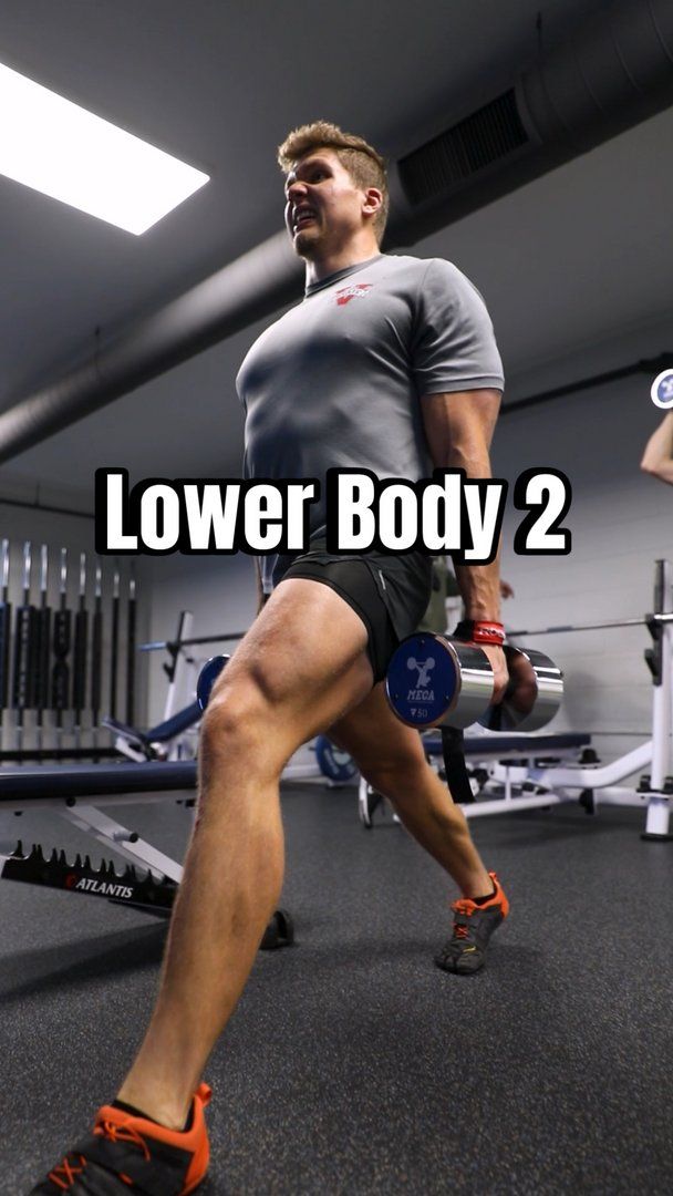 Lower 2