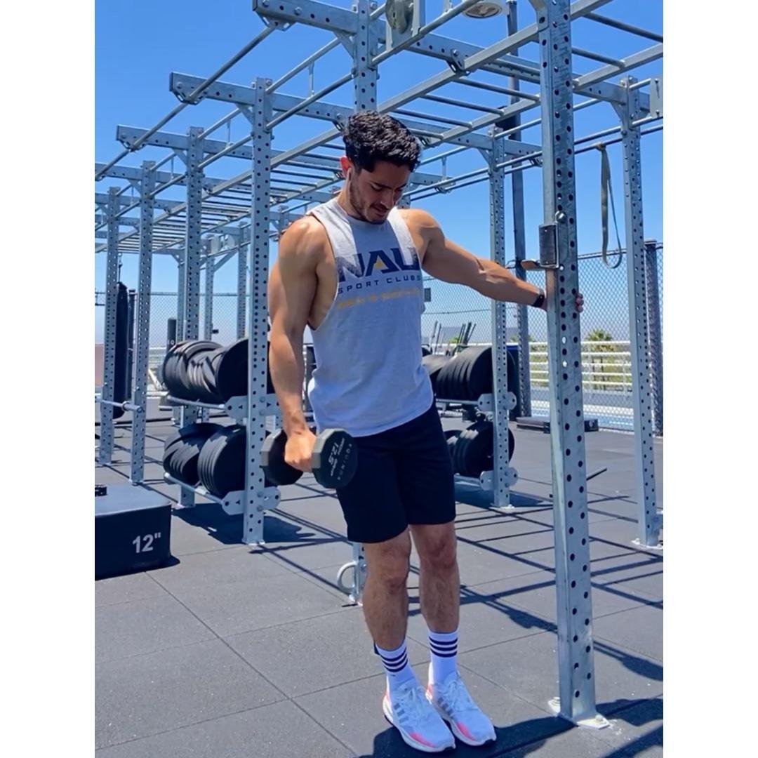 Chest/Shoulders