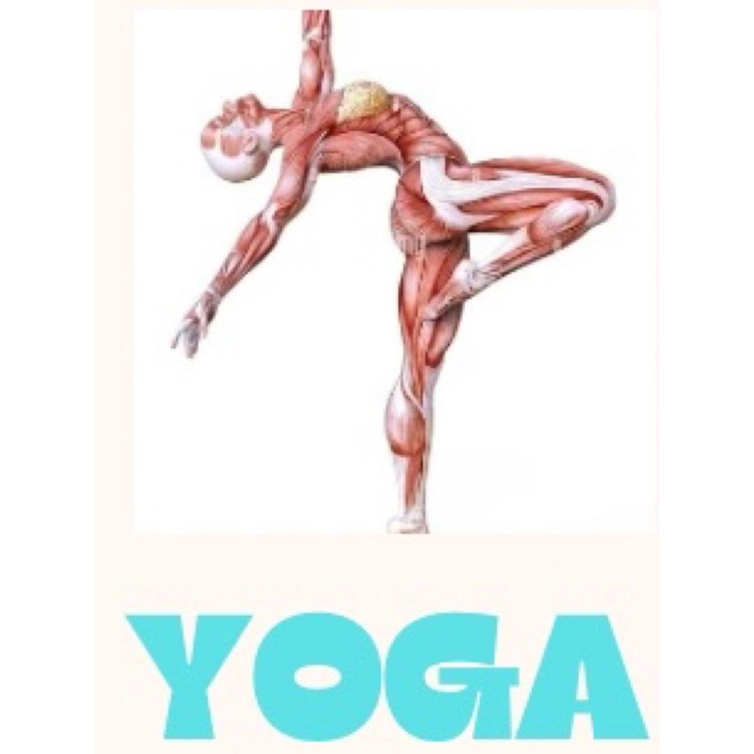 Vinyasa Flow 8:3:2025