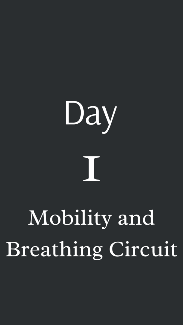 Day 1: Mobility and Breathing Circuit