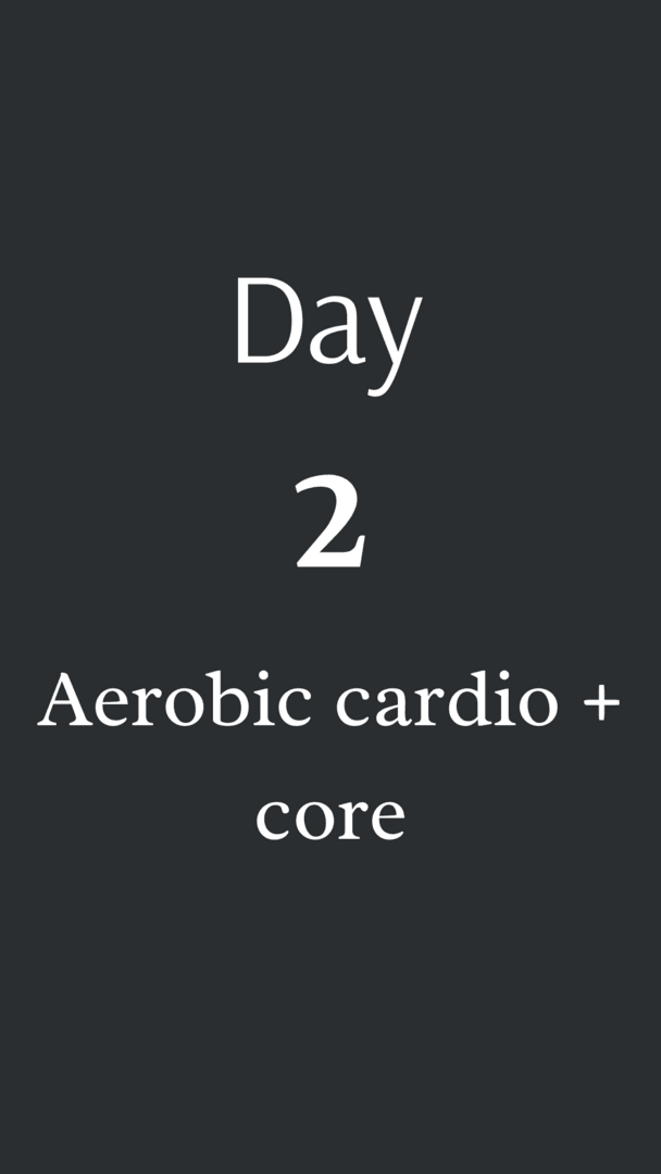 Day 2: Aerobic cardio + core