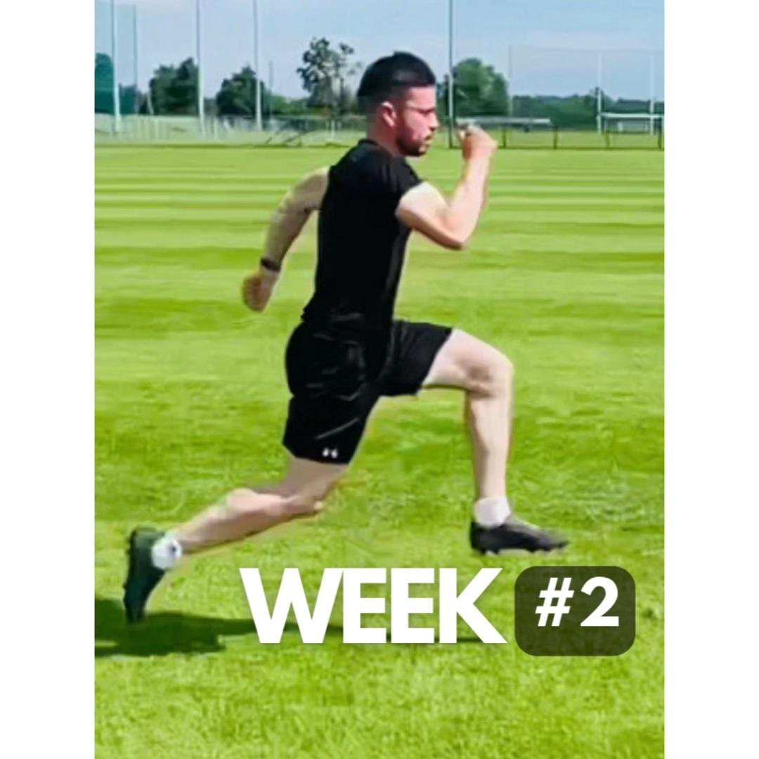 Top Speed: Week #2️⃣