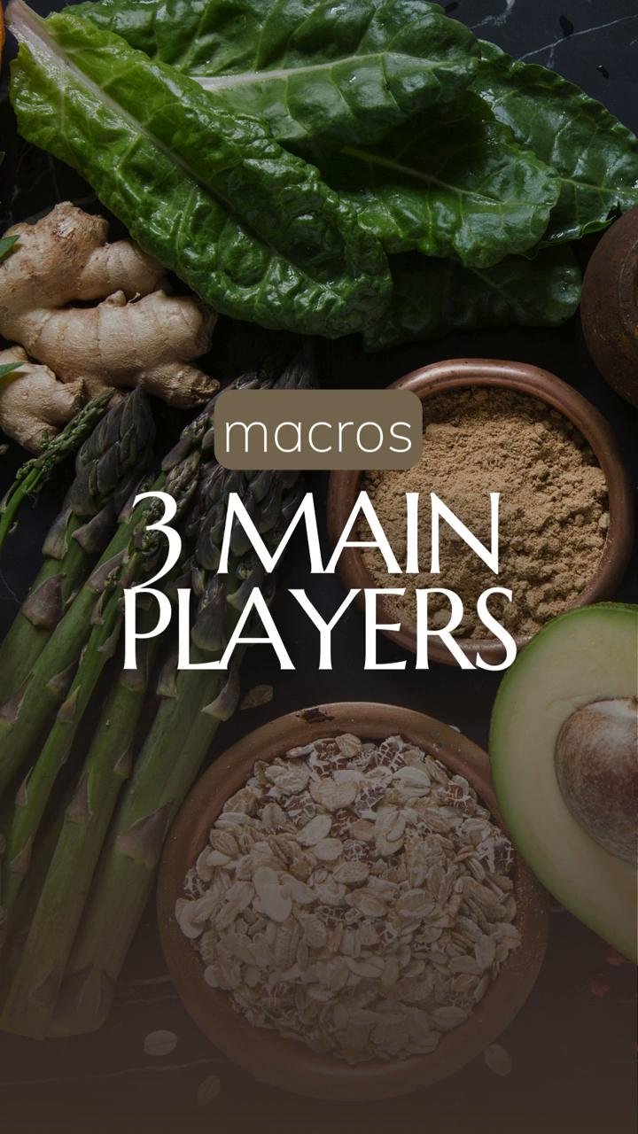 Macros: These Are The 3 Main Player