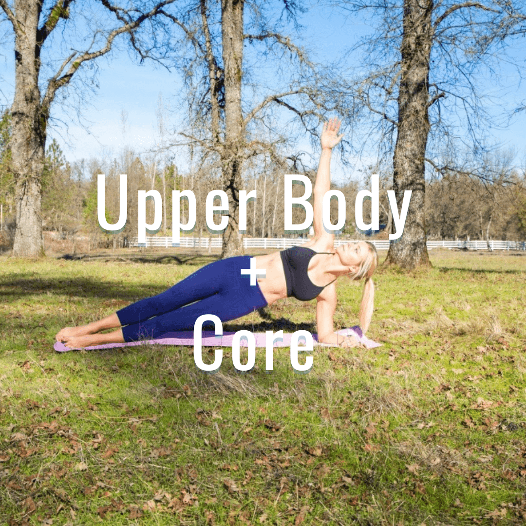 Day 5 – Upper Body + Core