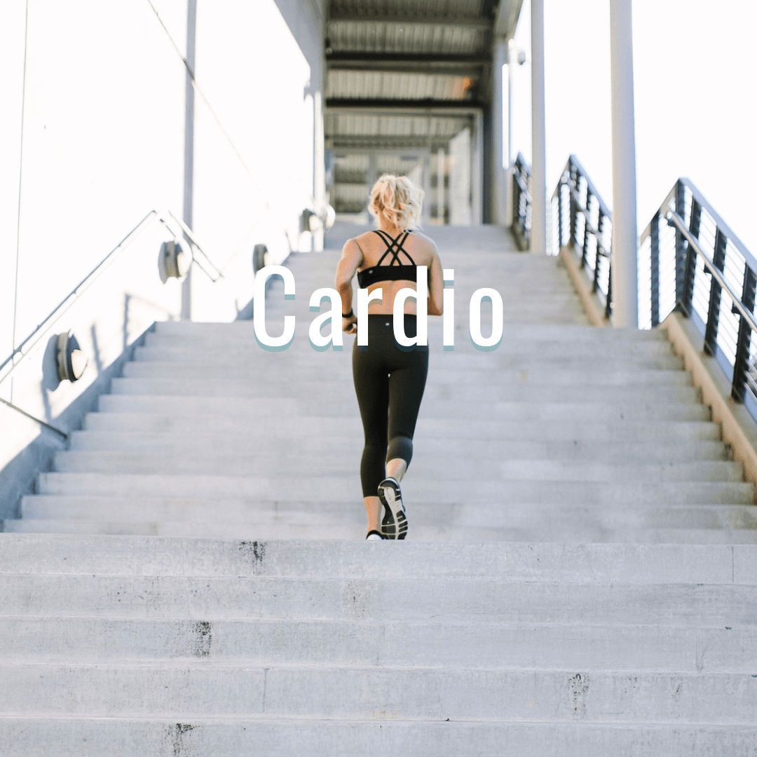 Day 6 – Cardio / Endurance Day