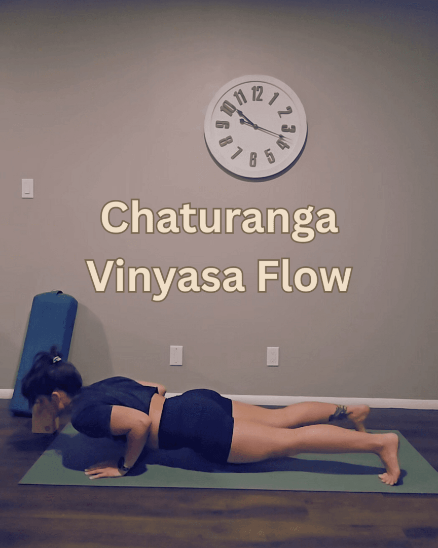 Chaturanga Vinyasa Flow